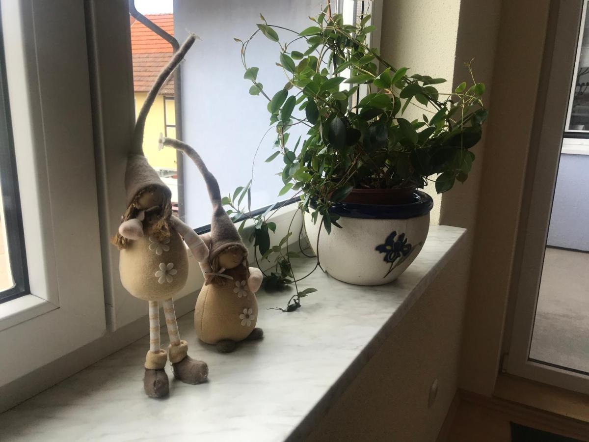 Ferienwohnung Am Gruenen Band Hellingen エクステリア 写真