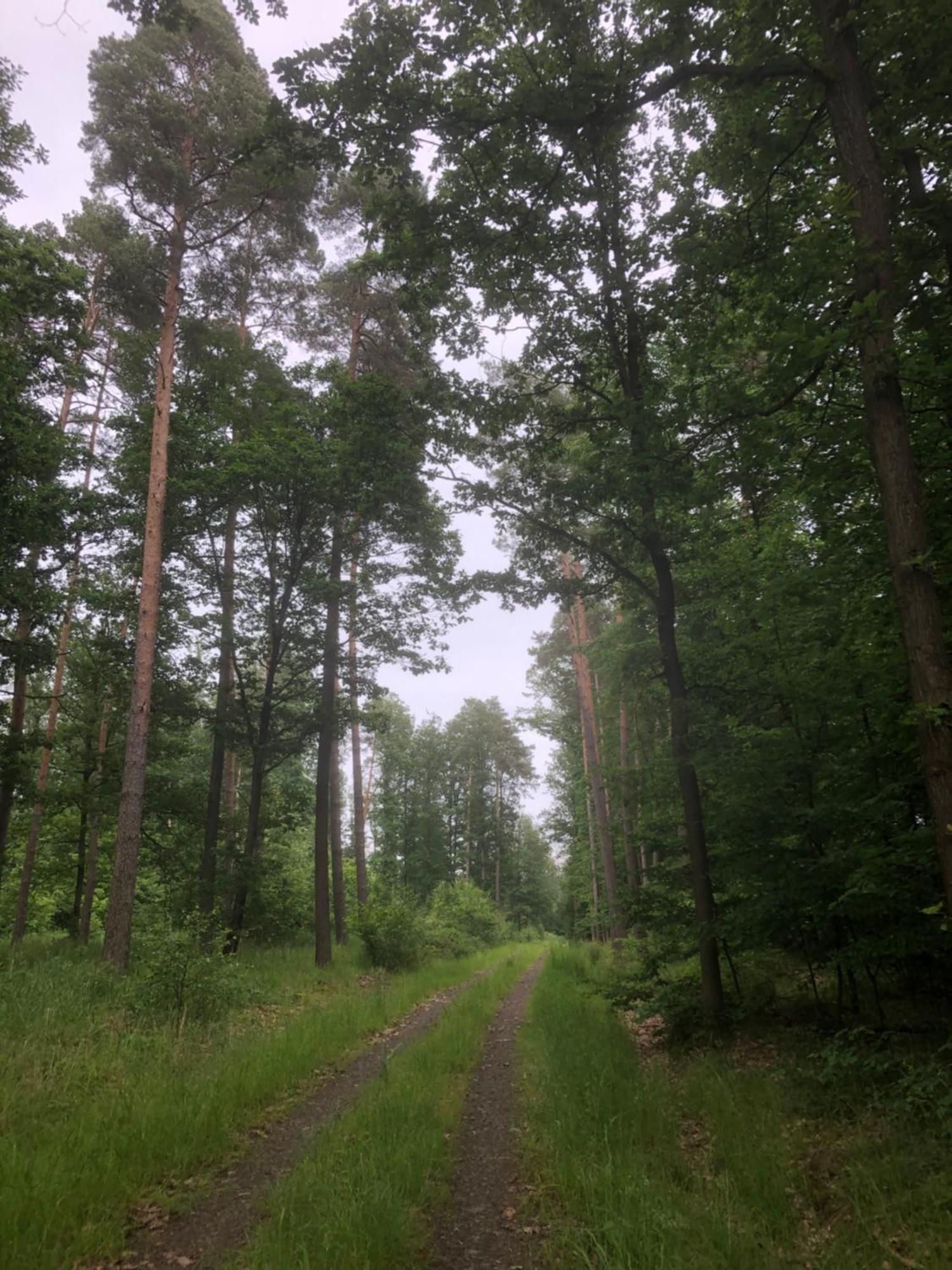 Ferienwohnung Am Gruenen Band Hellingen エクステリア 写真